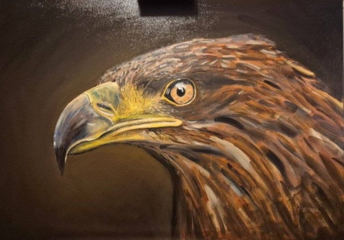 Eagle Eyes